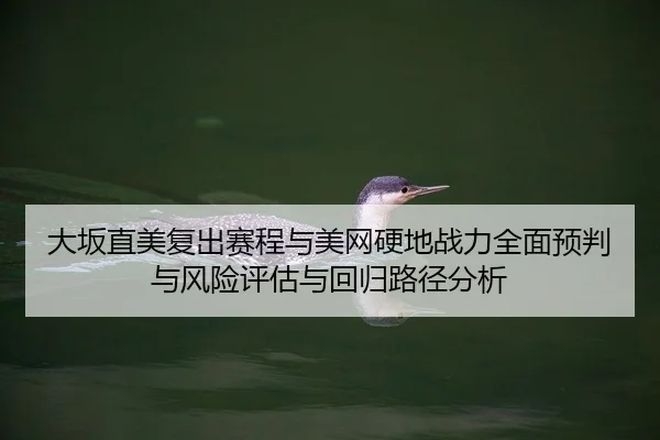 da-ban-zhi-mei-fu-chu-sai-cheng-yu-mei-wang-ying-di-zhan-li-quan-mian-yu-pan-yu-feng-xian-ping-gu-yu-hui-gui-lu-jing-2-652.jpg