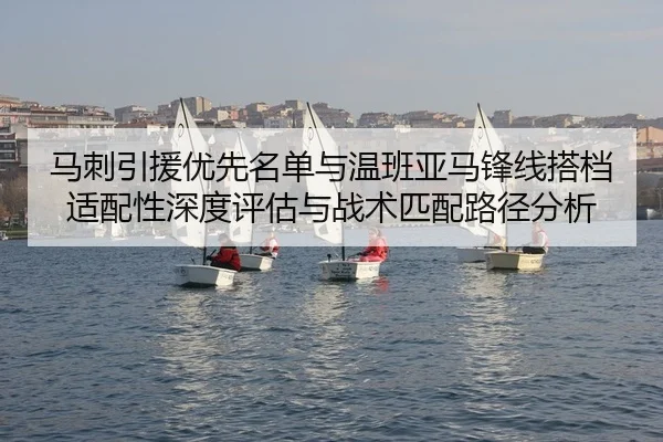 ma-ci-yin-yuan-you-xian-ming-dan-yu-wen-ban-ya-ma-feng-xian-da-dang-shi-pei-xing-shen-du-ping-gu-yu-zhan-shu-pi-pei-lu-2-227.jpg