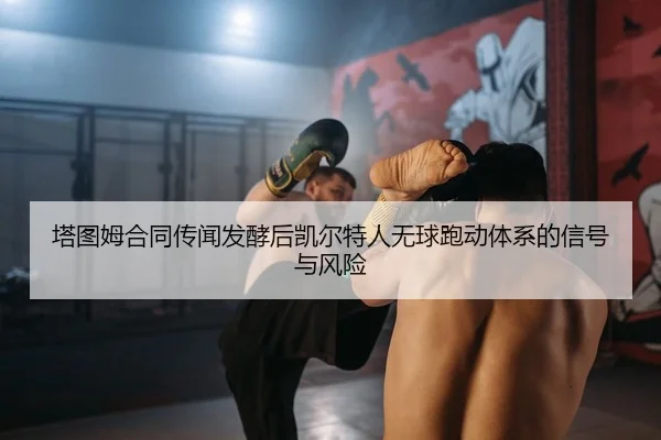 ta-tu-mu-he-tong-chuan-wen-fa-jiao-hou-kai-er-te-ren-wu-qiu-pao-dong-ti-xi-de-xin-hao-yu-feng-xian-2-137.jpg